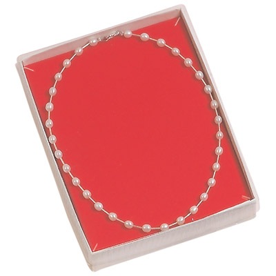 See-Thru Plastic Lid Boxes (x100)