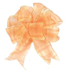 Sheer Plaid Ribbon w/Wire