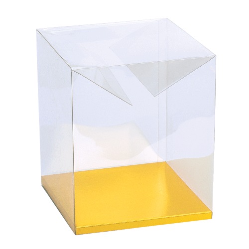 Clear Boxes with Gold Bottom