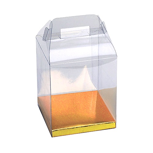 Clear Plastic Totes with Gold Bottom