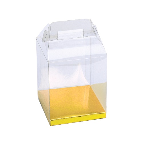 Clear Plastic Totes with Gold Bottom