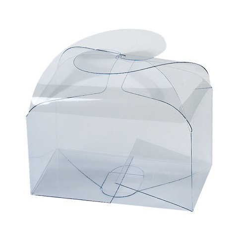 Plastic Boxes with Circle Clasp