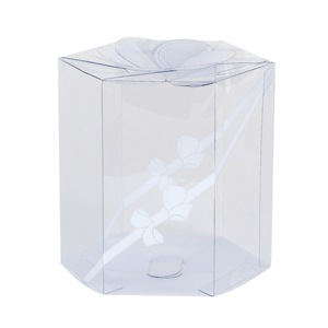 Plastic Hexagonal Boxes with Printed White Ribbon