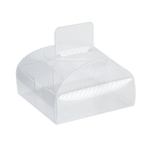 Clear Plastic Box with Tab Clasp