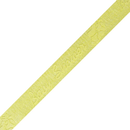 "Baby Shower" Print on Sheer