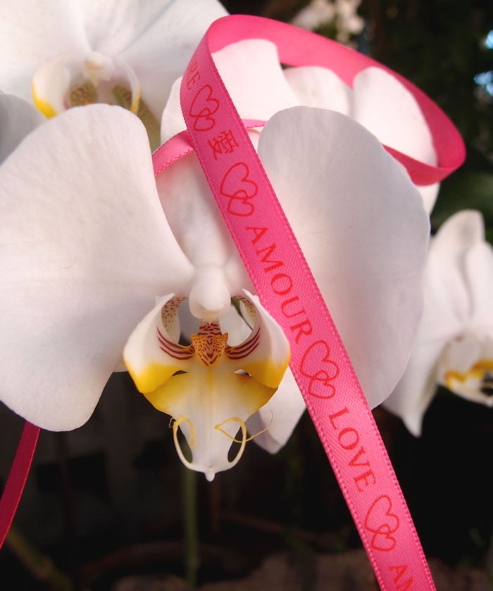 One World "Love" Ribbon