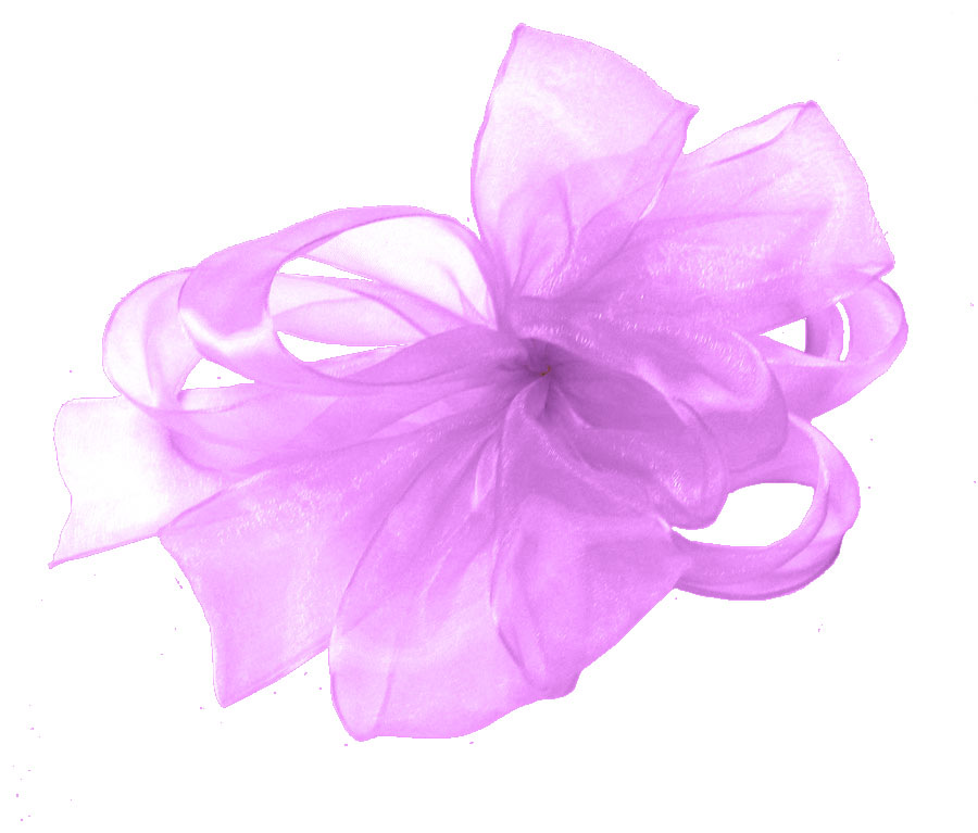 Pretty Pink Simply Sheer Asiana Ribbon