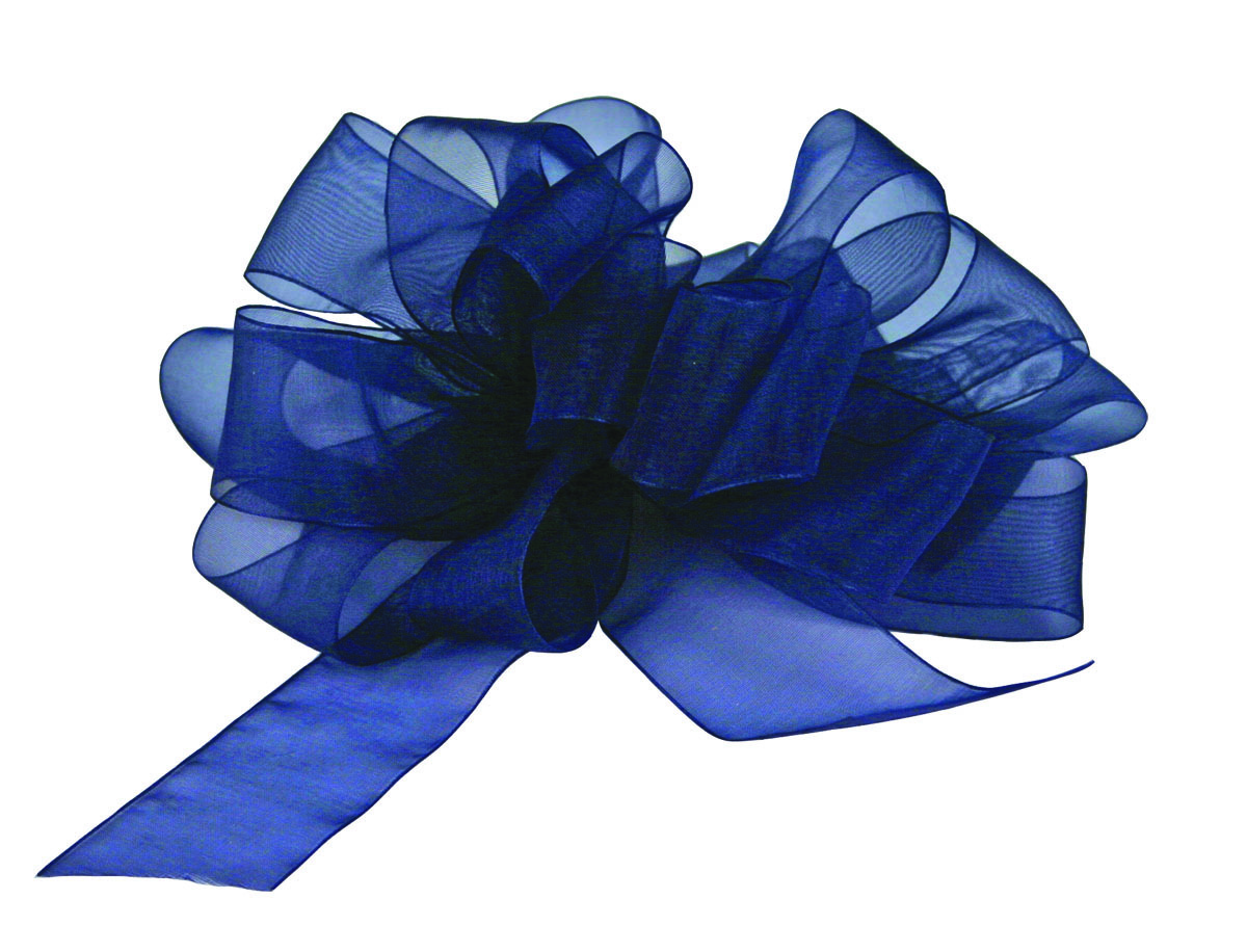Navy Simply Sheer Asiana Ribbon