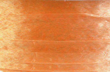 Gold Pearlized Nylon Raffia Ribbon