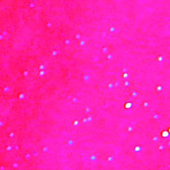 Hot Pink Saphire Gemstones Tissue Paper