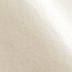 Champagne Two-Sided Pearlescence Printed Tissue