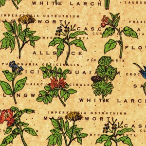 "Herbs" Printed Tissue Paper