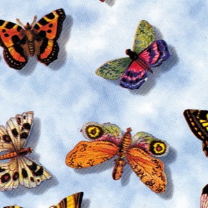 Butterflies Printed Tissue Paper