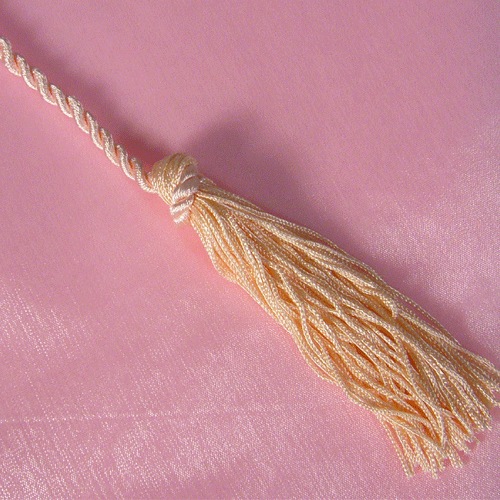 Pink Organza Wrapper w/ Tassel