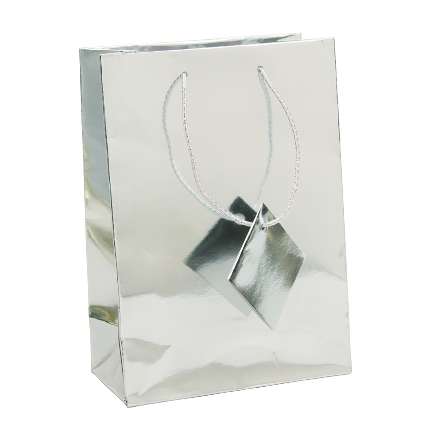 Medium Metallic Silver Bag 