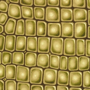 Alligator Print Tissue Paper