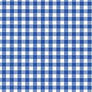 Blue Ginghams Print Tissue Paper