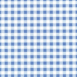 Pale Blue Ginghams Print on Tissue Paper