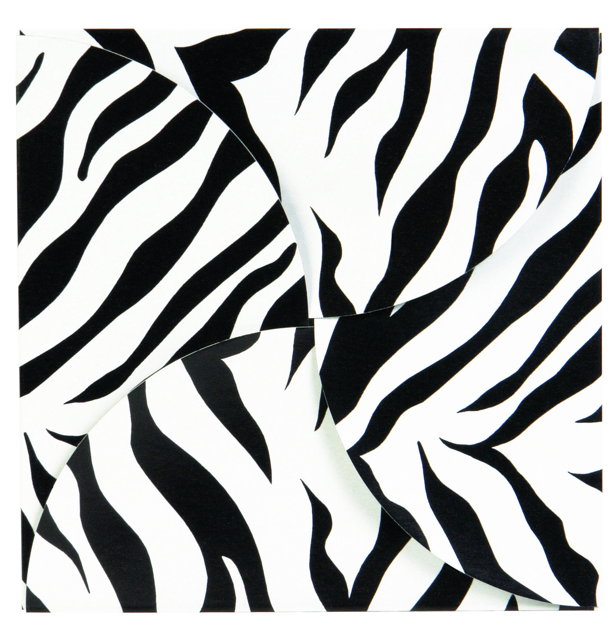Zebra Stripes Gift Card Folder