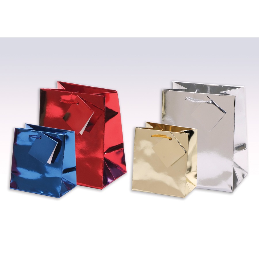 Assorted Metallic Bags