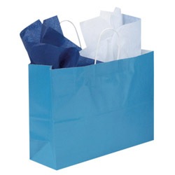 White Colored Bag (x250)