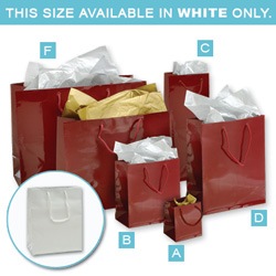 Glossy Euro Tote Bags (x100)