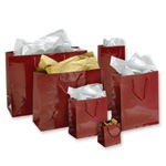 Glossy Euro Tote Bags