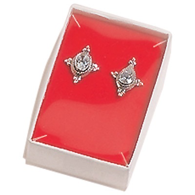 See-Thru Plastic Lid Boxes (x100)