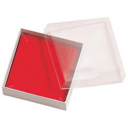 See-Thru Plastic Lid Boxes (x100)