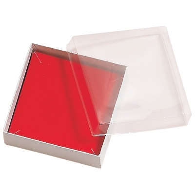 See-Thru Plastic Lid Boxes (x100)