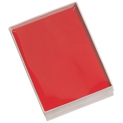 See-Thru Plastic Lid Boxes (x100)