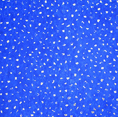 Reflections Tissue Paper