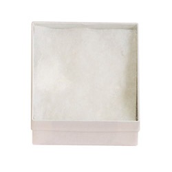 Clear Soft Plastic Lidded Box (x100)