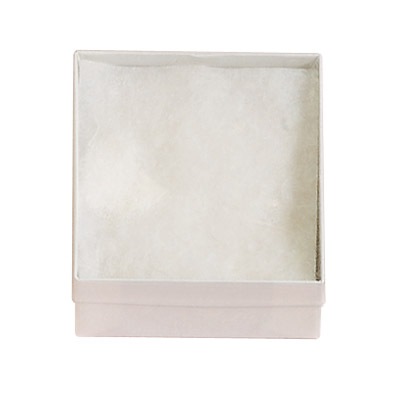 Clear Soft Plastic Lidded Box (x100)