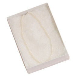 Clear Soft Plastic Lidded Box (x100)