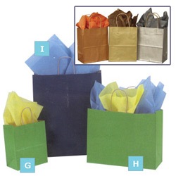 Kraft Metallic Bag (H) (x250)